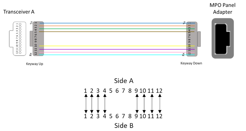 choosing mpo image